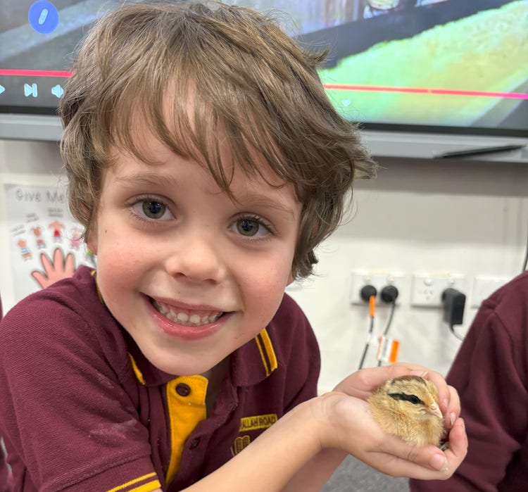 A student smiling at the camera while holding a baby chicken