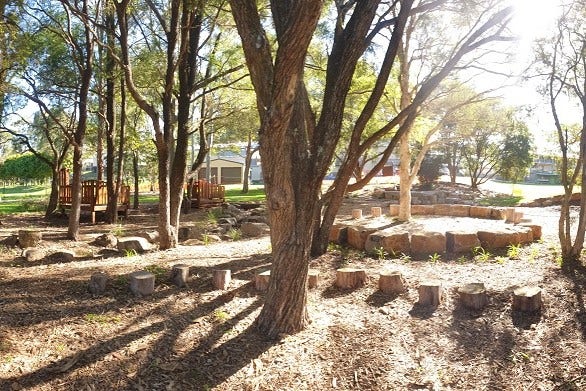 An image of a nature-based playground with the sun streaming through the trees